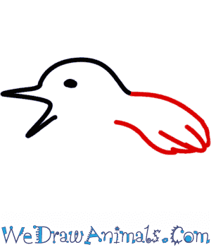 300x350 How To Draw A Nightingale