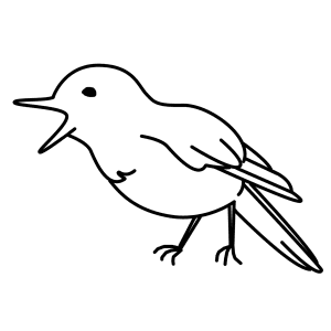 300x300 Learn How To Draw Animals Step