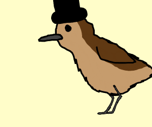 300x250 Nightingale Wearing A Hat