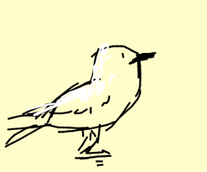 300x250 Powdery Nightingale