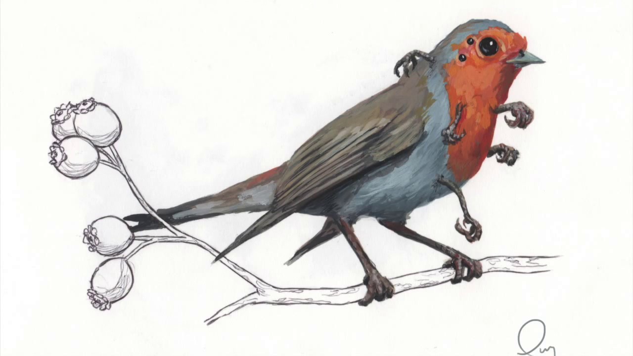 1280x720 Rad Bird Robin