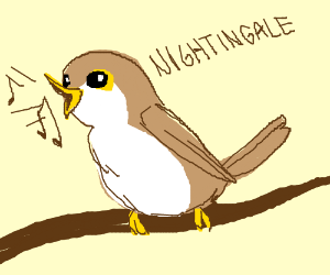 300x250 The Amazing Nightingale