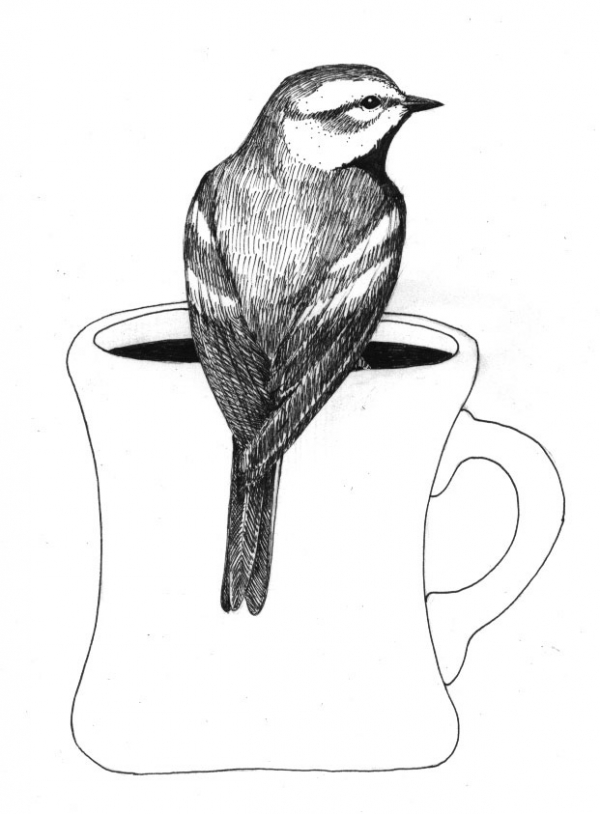 600x814 The Bird Coffee Connection The Outside Story