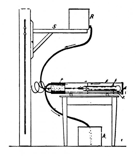 526x600 roentgen rays or x rays