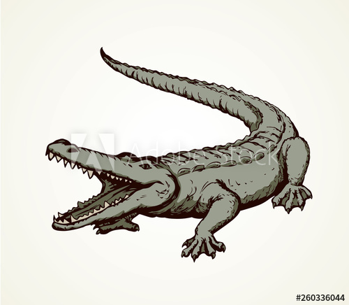 Nile Crocodile Drawing | Free download on ClipArtMag