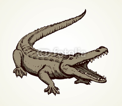 400x349 Crocodile Vector Drawing Buy Photos Ap Images Detailview