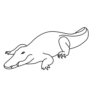 Nile Crocodile Drawing | Free download on ClipArtMag