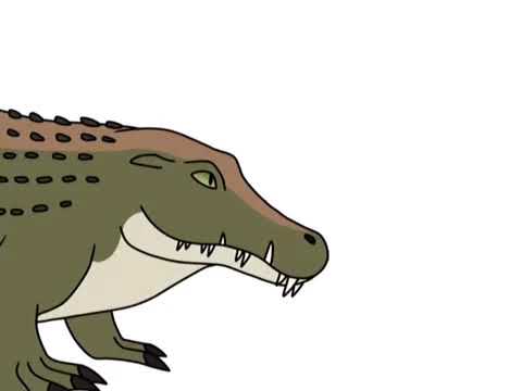 480x360 Nile Crocodile Drawing