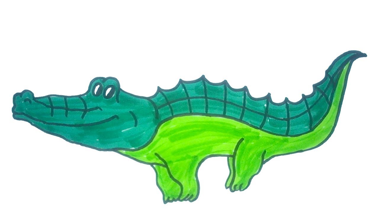 1280x720 How To Draw A Baby Crocodile Easy Step