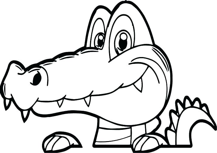 728x515 Alligator And Crocodile Coloring Pages Nile