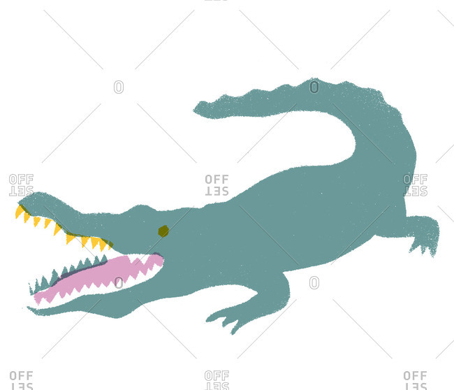 650x558 Reptile Drawing Stock Photos