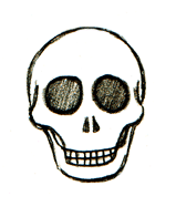 159x187 How To Draw Skulls Easy Step