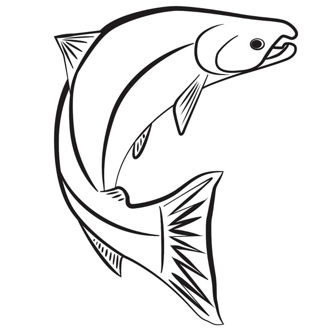 660x660 Tails Drawing Free Download