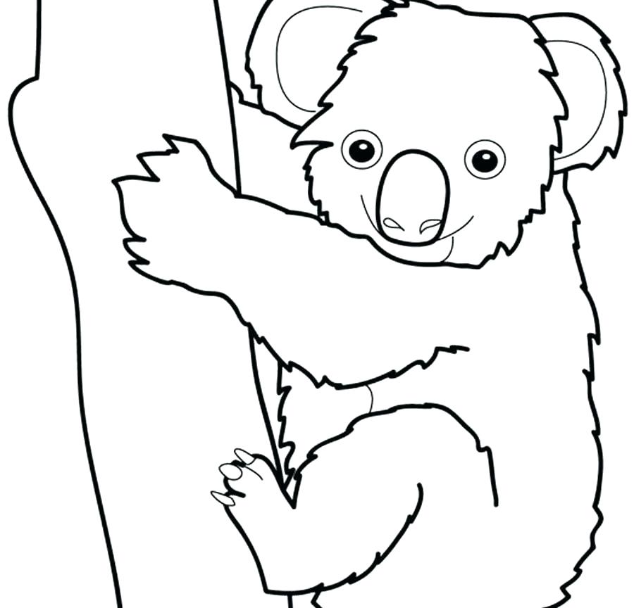 900x864 Coloring Pages Koala Coloring