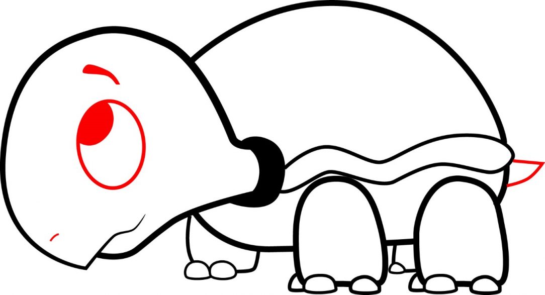 1084x587 Cute Baby Turtle Drawing Easy Ninja Sea And Contest I Fertility
