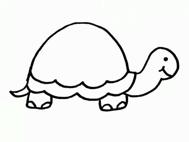 640x480 Ninja Turtles Clipart Easy Draw