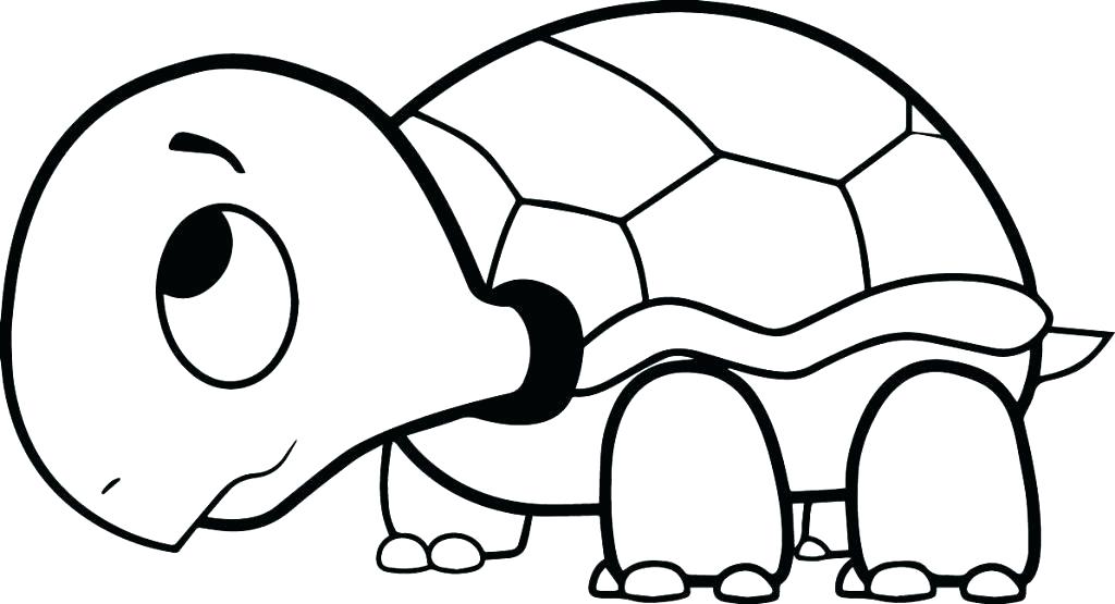 1024x555 Printable Turtle Coloring Pages Free For Kids Ideal Of Ninja