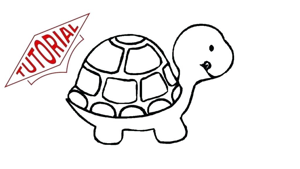 1024x576 Cute Turtle Drawing Easy Turtle Drawing Cute Turtle Drawing How