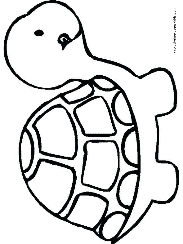 590x787 Easy Turtle Drawing Image Titled Draw A Turtle Step Easy Ninja