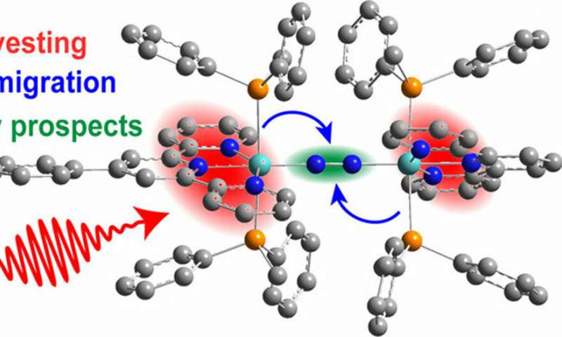 800x480 how sunlight energizes electrons to break nitrogen and form ammonia