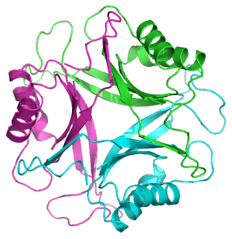 338x349 pii nitrogen regulatory proteins