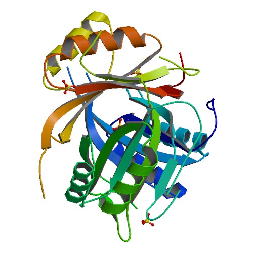 500x500 Rcsb Pdb