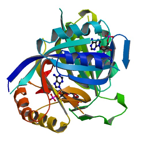 500x500 Rcsb Pdb