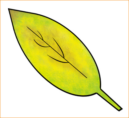 419x386 nitrogen leaf talking hydroponics