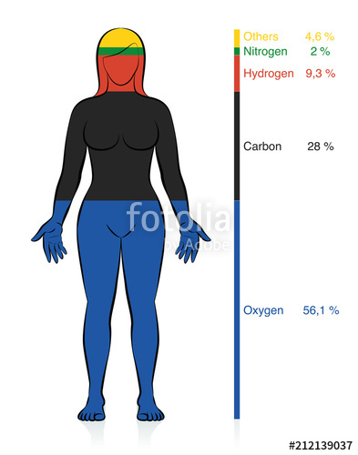 393x500 Amount Of The Most Common Chemical Elements Oxygen, Carbon