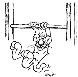 302x300 Penn State Alumni Association