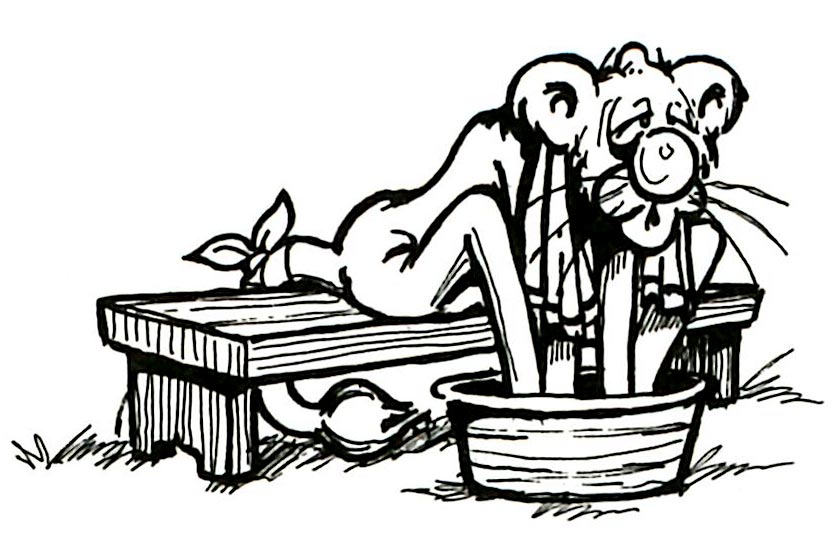 837x558 Penn State Alumni Association