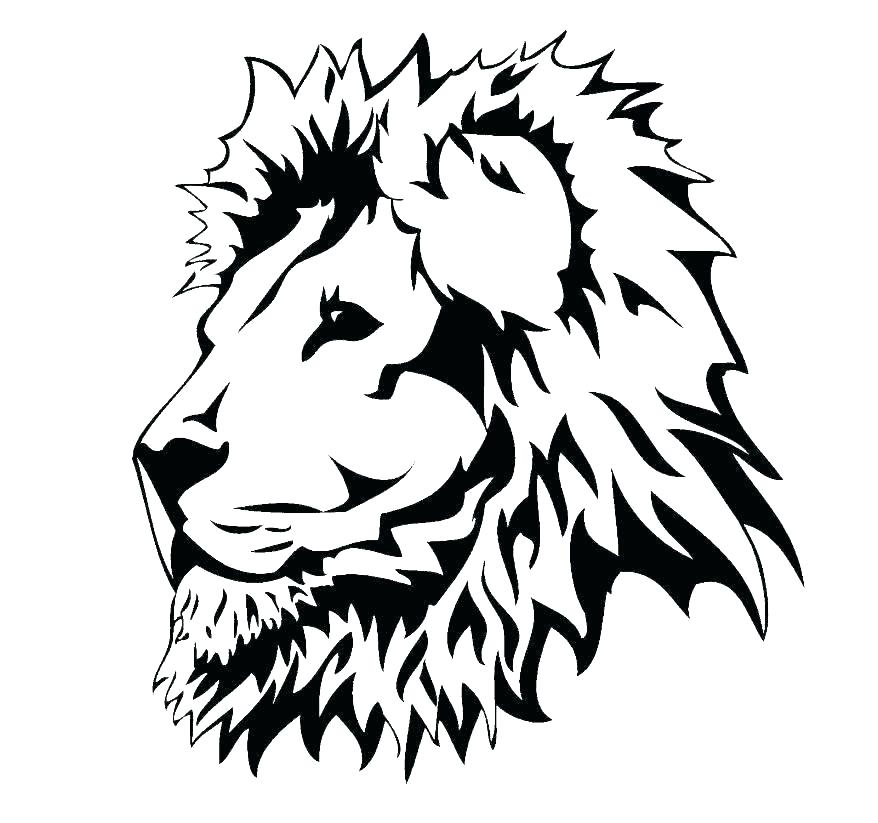 878x823 How To Draw A Lion Head