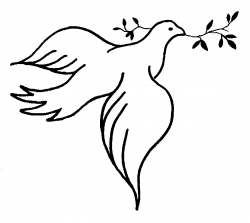 250x223 noahs ark clipart dove, picture