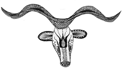 505x279 texas twist explore your interests to create let's nomad