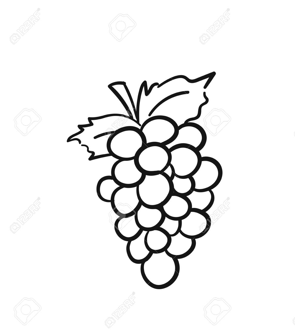 1143x1300 Huge Collection Of 'grapes Line Drawing' Download More Than