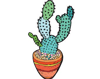 340x270 Cactus Drawing Etsy