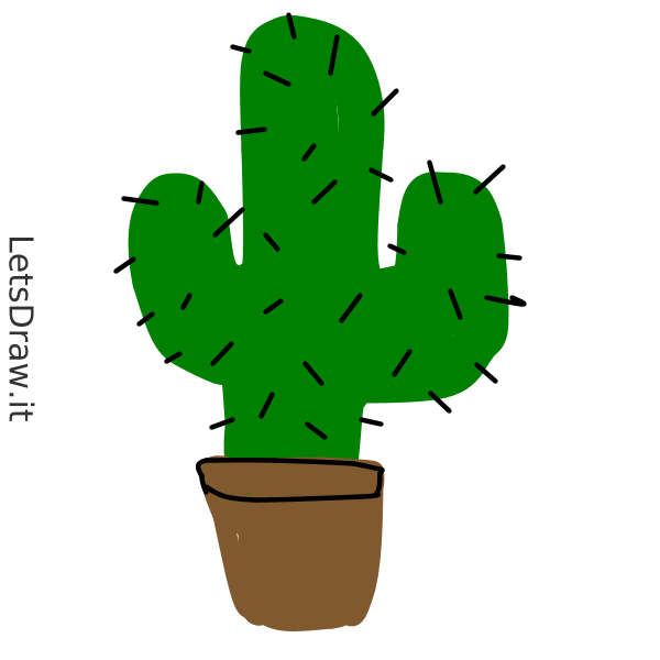600x600 How To Draw Cactus