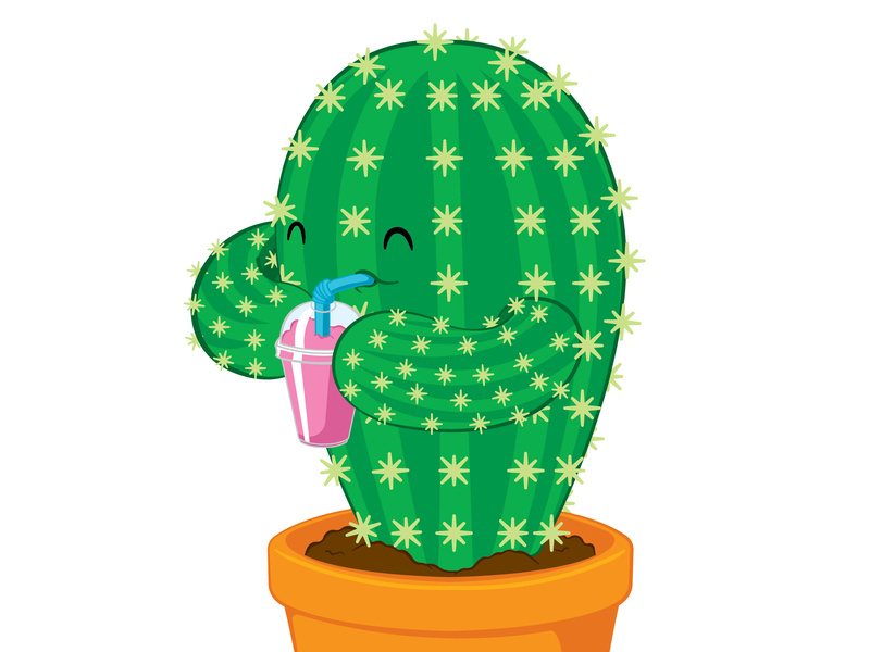 800x600 thirsty cactus