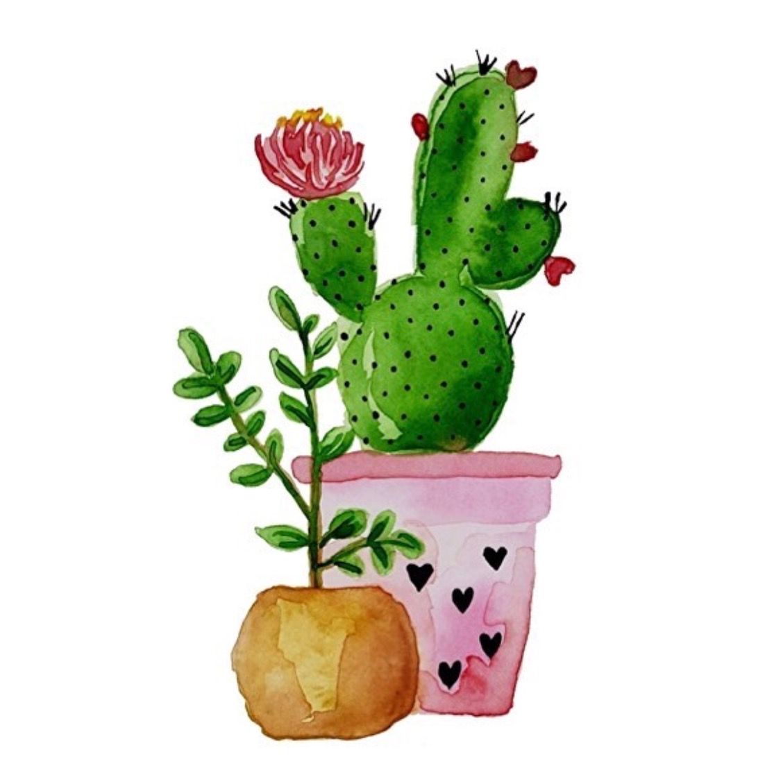 1125x1107 cactus in cactus art, watercolor cactus