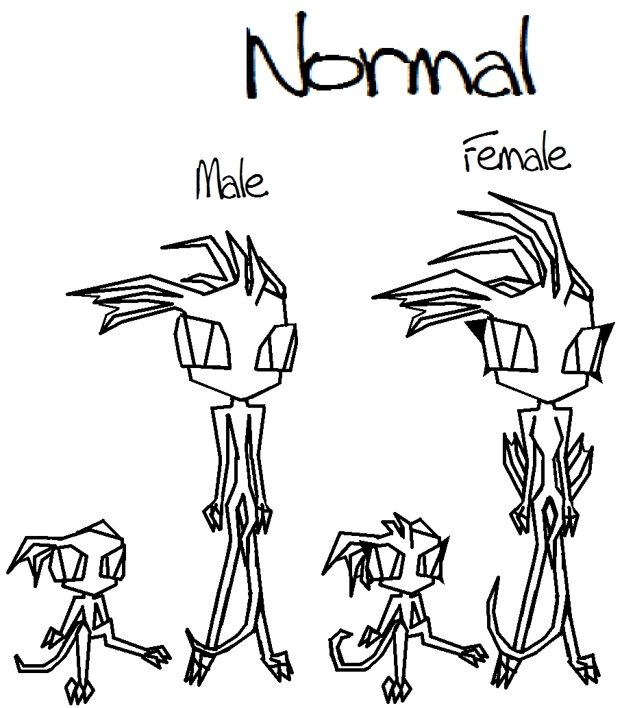 908x1033 Drawing Bases