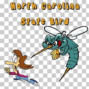 310x308 Mosquito Insect North Carolina Drawing Png, Clipart, Animal