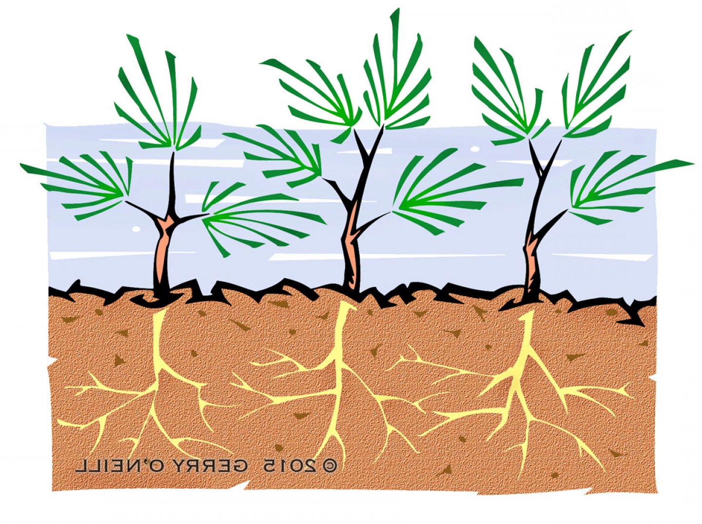 1440x1075 Technical Illustration Architectural Rendering North Carolina