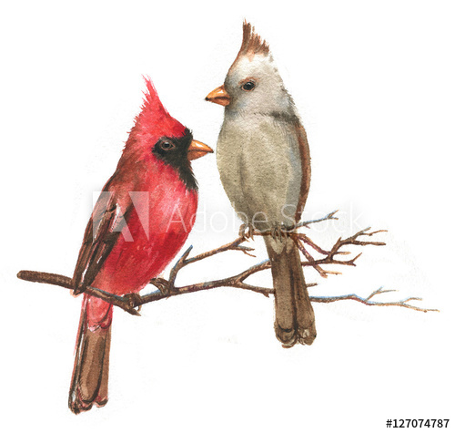 500x475 Hand Drawn Watercolor Illustration