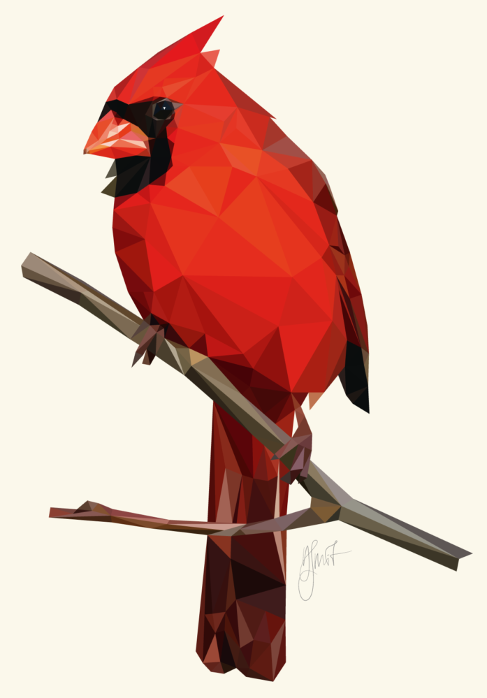 697x999 Northern Cardinal