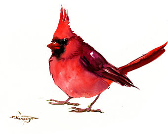 340x270 Northern Cardinal Etsy