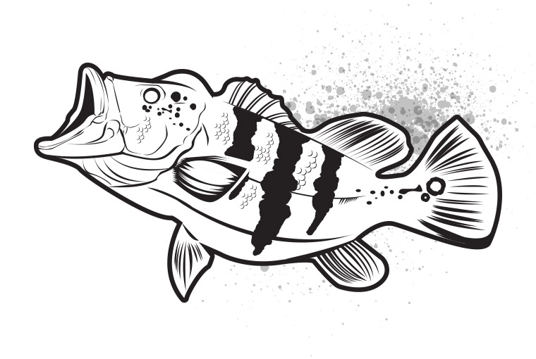 760x510 Fang Ops Going Beast Mode