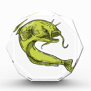 307x307 Freshwater Fish Drawing Gifts On Zazzle