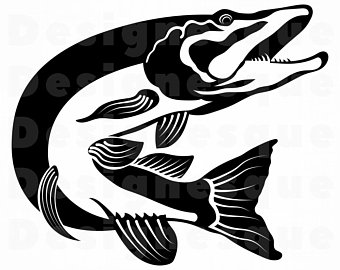 340x270 Northern Pike Etsy