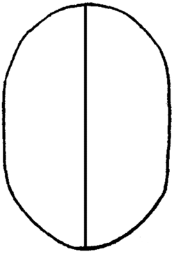 250x365 Drawing Faces Head In Eyes, Nose, Mouth, Ears Brows