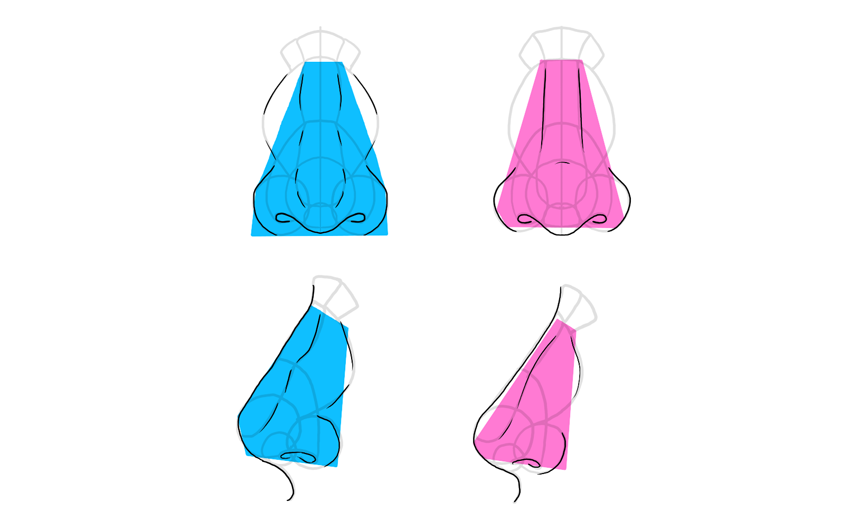 850x530 How To Draw A Nose